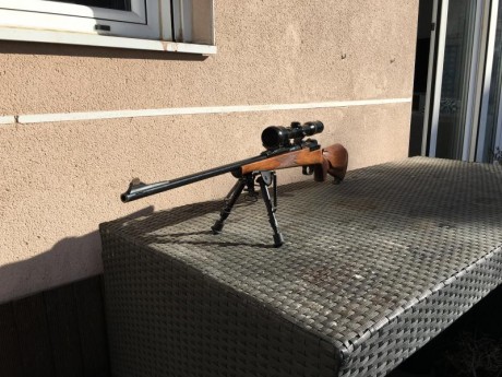 Vendo mi estupendo rifle mauser 66sm 300 wm cañón equipado con magnaport.
Monogatillo con pelo francés.
Monturas 01