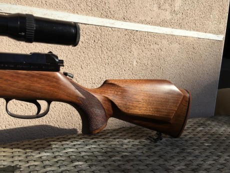 Vendo mi estupendo rifle mauser 66sm 300 wm cañón equipado con magnaport.
Monogatillo con pelo francés.
Monturas 11