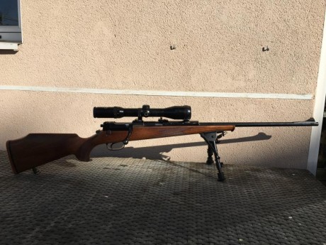 Vendo mi estupendo rifle mauser 66sm 300 wm cañón equipado con magnaport.
Monogatillo con pelo francés.
Monturas 22