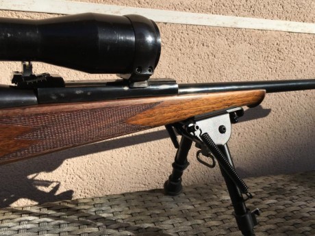 Vendo mi estupendo rifle mauser 66sm 300 wm cañón equipado con magnaport.
Monogatillo con pelo francés.
Monturas 20