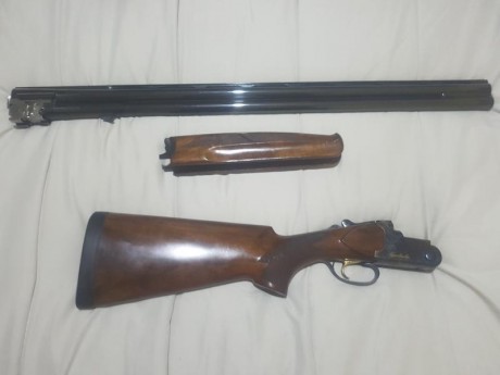 Hola pongo a la venta una SuperLanber 2089  cal. 12 ,comprada nueva, el 24-11-2015 he tirado muy poco 01