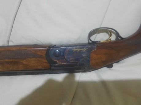 Hola pongo a la venta una SuperLanber 2089  cal. 12 ,comprada nueva, el 24-11-2015 he tirado muy poco 00