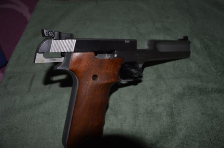 por haber comprado una GSP EXPERT nueva, pongo a la venta  esta preciosa S&W 2206 TGT del calibre 12