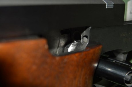 por haber comprado una GSP EXPERT nueva, pongo a la venta  esta preciosa S&W 2206 TGT del calibre 11