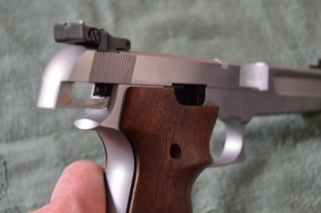 por haber comprado una GSP EXPERT nueva, pongo a la venta  esta preciosa S&W 2206 TGT del calibre 10