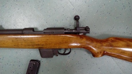 Un amigo vende su carabina Destroyer recamarada al calibre 9mm Parabelum.
Están en muy buen estado tanto 01