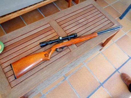 Vendo carabina del .22 MARLIN 

Cargador tubular con capacidad para 17 balas. Equipada con visor Tasco 12