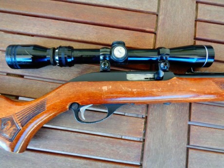 Vendo carabina del .22 MARLIN 

Cargador tubular con capacidad para 17 balas. Equipada con visor Tasco 11