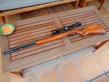 Vendo carabina del .22 MARLIN 

Cargador tubular con capacidad para 17 balas. Equipada con visor Tasco 21