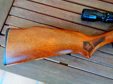 Vendo carabina del .22 MARLIN 

Cargador tubular con capacidad para 17 balas. Equipada con visor Tasco 20