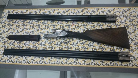 Pues eso, pongo a la venta mi magnífica AYA 56 con dos juegos de cañones 1*y 2*/  2* y 4 *.

Es del año 01