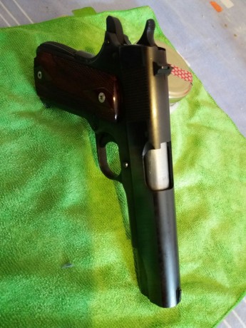 Hola. Un amigo vende este arma prácticamente nueva, en uso, pero el libro de coleccionista ( No de réplicas). 01