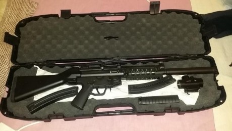 Hola, vendo Gsg5 tal cual se ve en la foto. Punto rojo, dos culatas, dos cargadores, la maleta de transporte 01