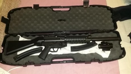 Hola, vendo Gsg5 tal cual se ve en la foto. Punto rojo, dos culatas, dos cargadores, la maleta de transporte 00