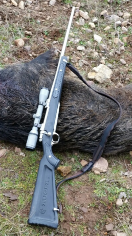 Pues eso, que nos invitaron a decir aquí lo mierda que es el 30-06...

https://www.armas.es/foros/conversacion-general/se-sabe-algo-de-jabali-viejo-1041988

Yo 70