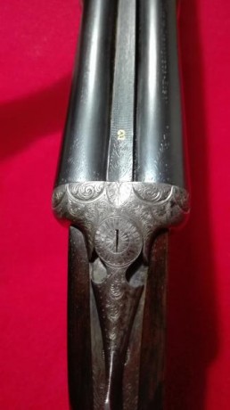 Hola,vendo escopeta Víctor Sarasqueta modelo DWE,72cm de cañón,5 y 9 décimas,tres y una estrellas,dos 02