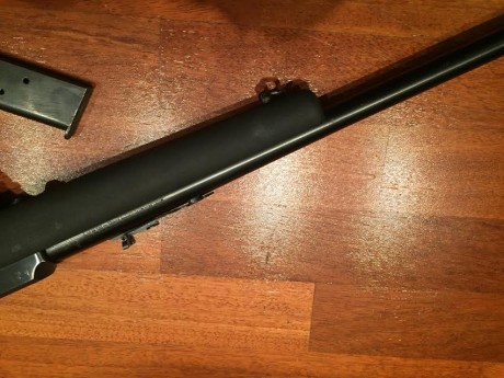 Se vende esta carabina en perfecto estado de funcionamiento (buffer sintetico nuevo) con la versatil culata 02