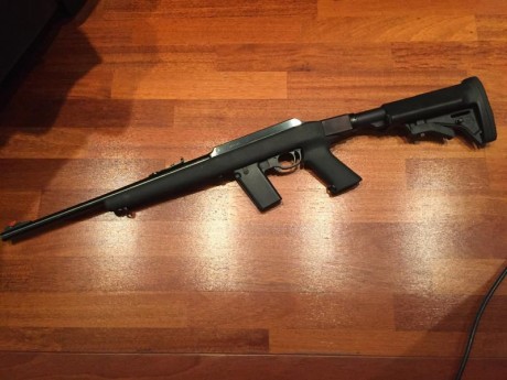 Se vende esta carabina en perfecto estado de funcionamiento (buffer sintetico nuevo) con la versatil culata 01