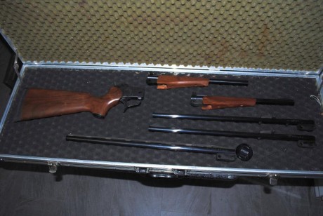 Vendo.

Monotiro  TC Contender con varios cañones.

Cañón principal 357 Remington Máximum, modelo Super 01