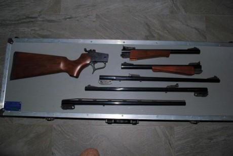 Vendo.

Monotiro  TC Contender con varios cañones.

Cañón principal 357 Remington Máximum, modelo Super 00