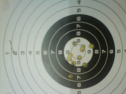 Ayer hizo mis mejores tiros ... 

Arma: Gamo Compact
Distancia: 10 metros.
Tirando con una mano y con 00