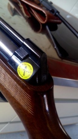 Hola , pongo en venta un ejemplar de Gamo modelo expomatic totalmente de estreno, aun conserva la pegatina 02