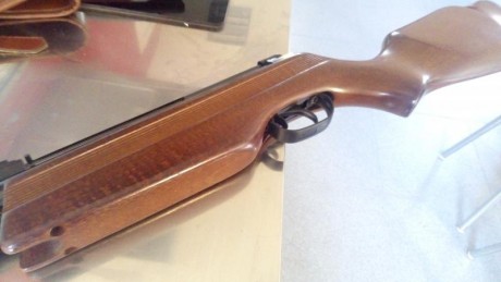 Hola , pongo en venta un ejemplar de Gamo modelo expomatic totalmente de estreno, aun conserva la pegatina 01