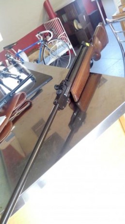 Hola , pongo en venta un ejemplar de Gamo modelo expomatic totalmente de estreno, aun conserva la pegatina 00
