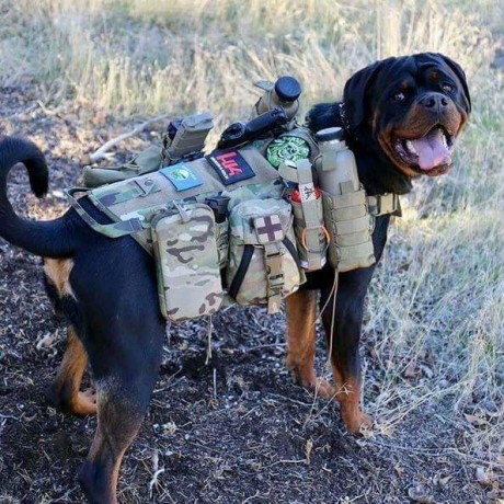 ¡Muy buenas a todos!

Estaba dando un paseo por el foro, cuando me he dado cuenta de que no había un hilo 150