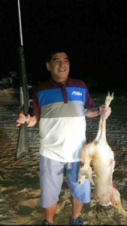 ¡Muy buenas a todos!

Estaba dando un paseo por el foro, cuando me he dado cuenta de que no había un hilo 20
