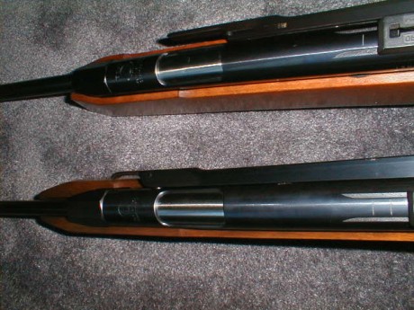 Hola,

Leyendo por el foro veo que esta carabina esta muy considerada pese a los años de diseño y que 30