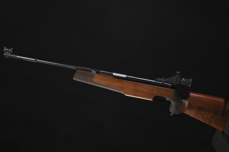 Hola,

Leyendo por el foro veo que esta carabina esta muy considerada pese a los años de diseño y que 71