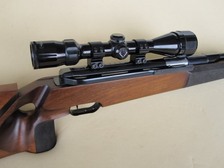 Hola,

Leyendo por el foro veo que esta carabina esta muy considerada pese a los años de diseño y que 60