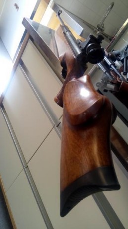Hola,

Leyendo por el foro veo que esta carabina esta muy considerada pese a los años de diseño y que 141