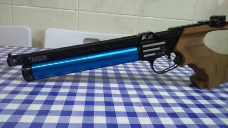 Buenas. 
Por favor, necesito ayuda para elegir mi siguiente pistola de precisión. Actualmente tengo una 81