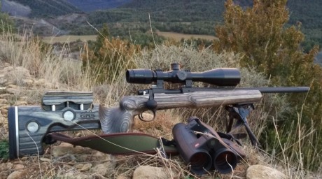 Calibre 308 w. Cañon de 20 pulgadas acanalado. Lleva bases Warne de acero. La culata está modificada con 01