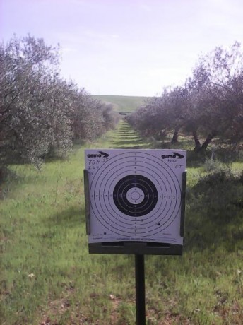 Bueno,pues cuento un poco la secuencia de esta prueba.
Se trata de una Gamo Igt,a la que le acoplo su 20