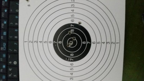 Sinceramente, para mi, las Gamo modernas, por mucho nombre largo y rimbombante que lleve ese modelo en 171