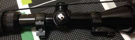 Vendo visor Bushnell Trophy 3-9x40 con anillas Apel originales. Estas anillas están fijadas al visor con 02