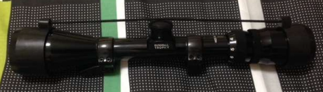 Vendo visor Bushnell Trophy 3-9x40 con anillas Apel originales. Estas anillas están fijadas al visor con 01