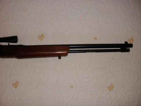 Vendo carabina cal. 22 marca WINCHESTER mod. 190 con visor Weaver (antiguo pero se ve bien). Perfecto 01