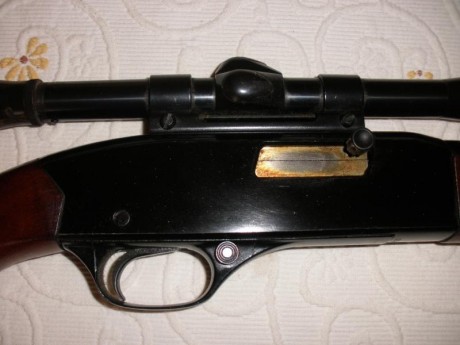 Vendo carabina cal. 22 marca WINCHESTER mod. 190 con visor Weaver (antiguo pero se ve bien). Perfecto 00