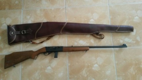 Vendo carabina Anschutz .22lr. Guiada con licencia "A". Buen estado, dos cargadores, funda. 00