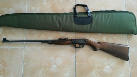 Vendo carabina Unique cal .22lr. Excelente estado. Pocos disparos. Funda transporte. Está en Palma de 01