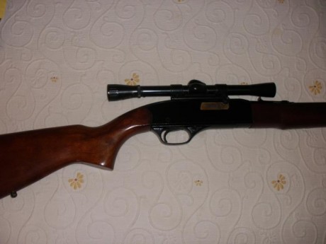 Cambio estas cuatro armas:

-Carabina .22 ADLER réplica GALIL con correa y dos cargadores. Impecable.
-Carabina 01