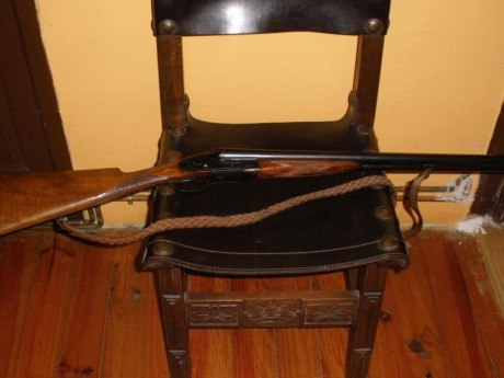 Cambio estas cuatro armas:

-Carabina .22 ADLER réplica GALIL con correa y dos cargadores. Impecable.
-Carabina 00