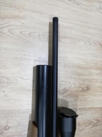 VENDO CARABINA DAYSTATE AIRWOLF MCT CALIBRE 5,5, CON VISOR VIPER MCT. EQUIPO IMPECABLE.. CON MODERADOR 12