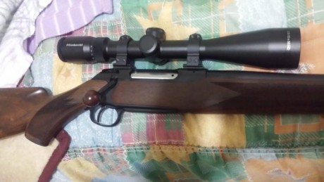Aver si alguien me puede dar opinión  para elegir entre estos 2 visores el steiner ranger 3-12x56 o el 130