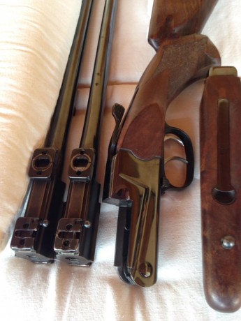 Vendo mono tiro con cañones intercambiables y bases Apel, Calibres: 222, Reming. y 270 Win. doble gatillo 02