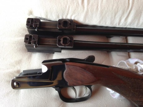 Vendo mono tiro con cañones intercambiables y bases Apel, Calibres: 222, Reming. y 270 Win. doble gatillo 00